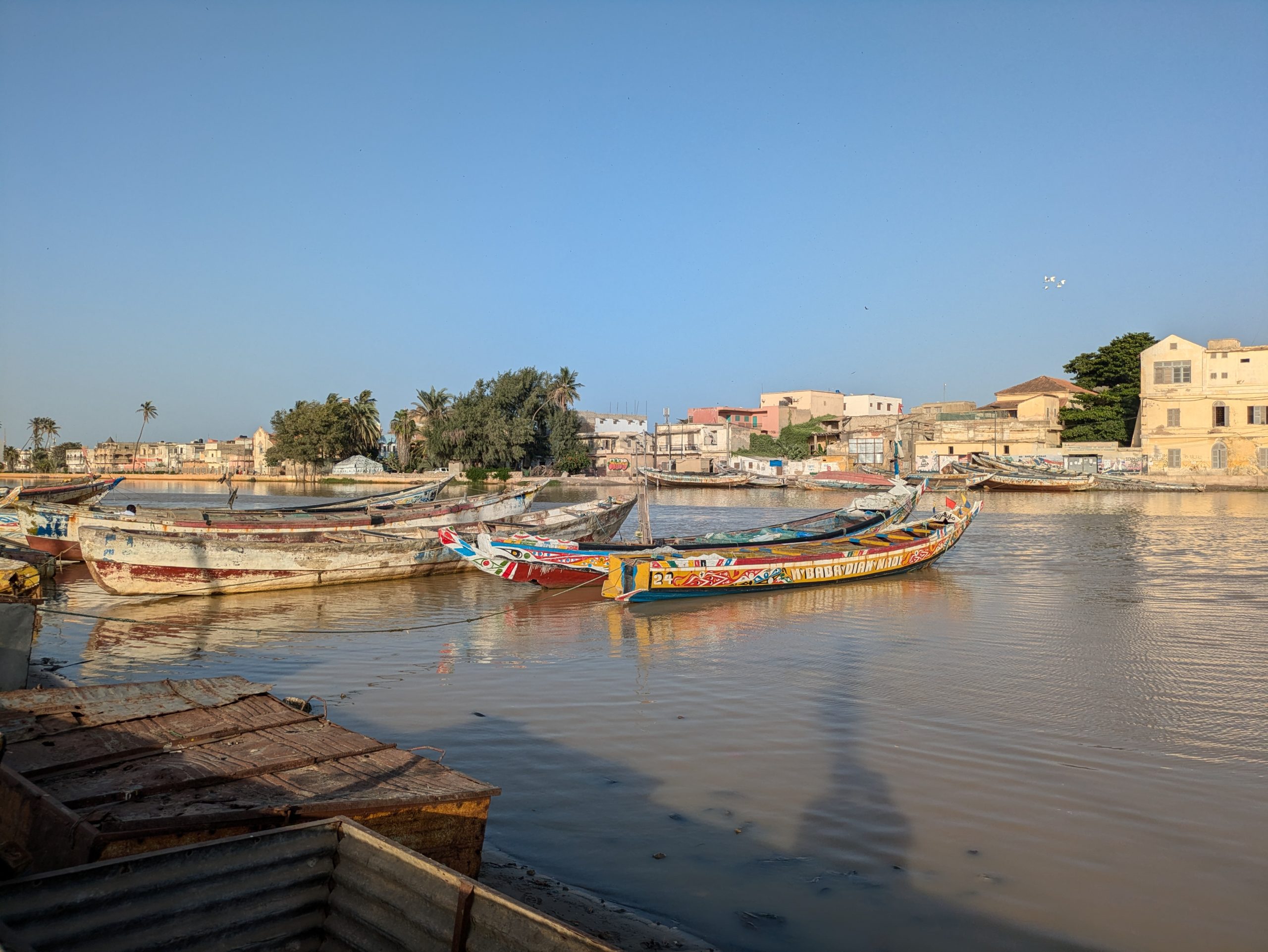 You are currently viewing Saint-Louis, Dakar et le nord du Sénégal