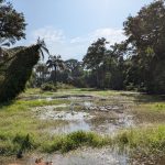 Casamance