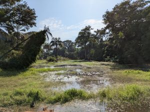 Lire la suite à propos de l’article Casamance