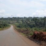 Le Cameroun : forêt tropicale et saison des pluies