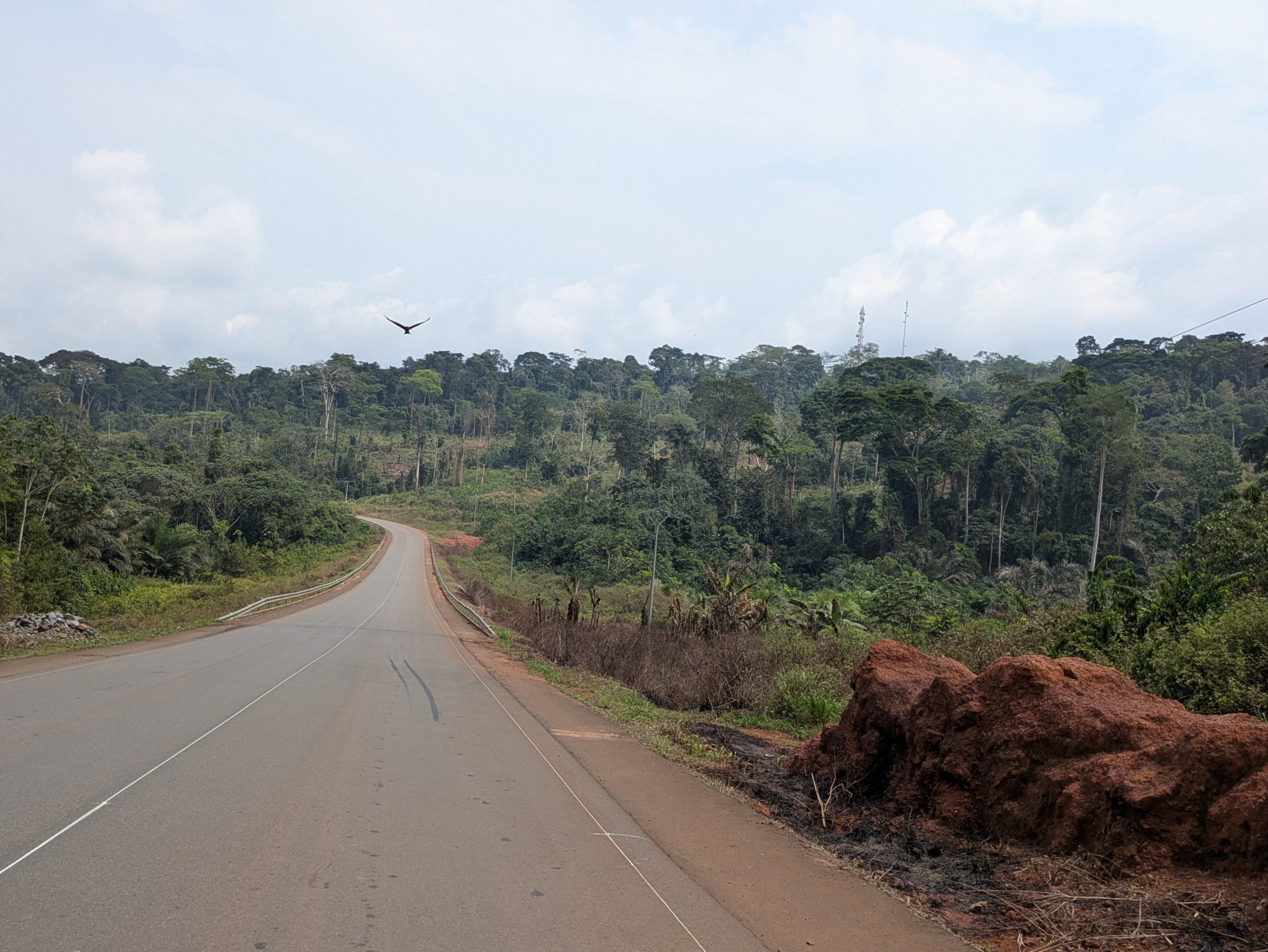 You are currently viewing Le Cameroun : forêt tropicale et saison des pluies