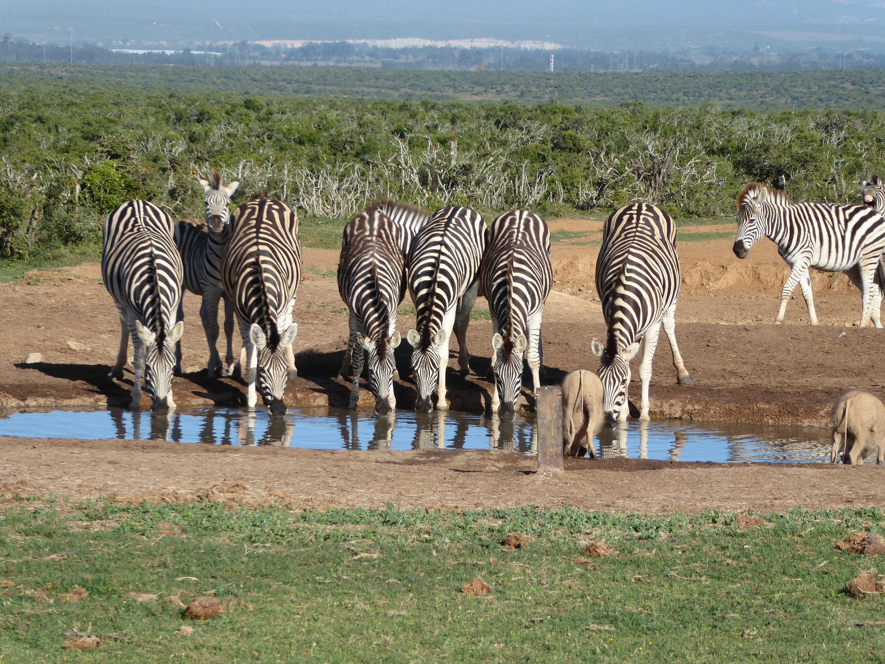 You are currently viewing Du Cap à Johannesburg