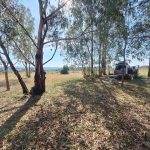 Courte traversée Tanzanienne