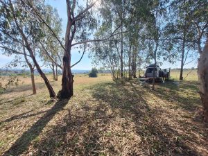 Lire la suite à propos de l’article Courte traversée Tanzanienne