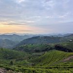 A travers mille collines