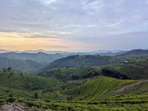 Lire la suite à propos de l’article A travers mille collines