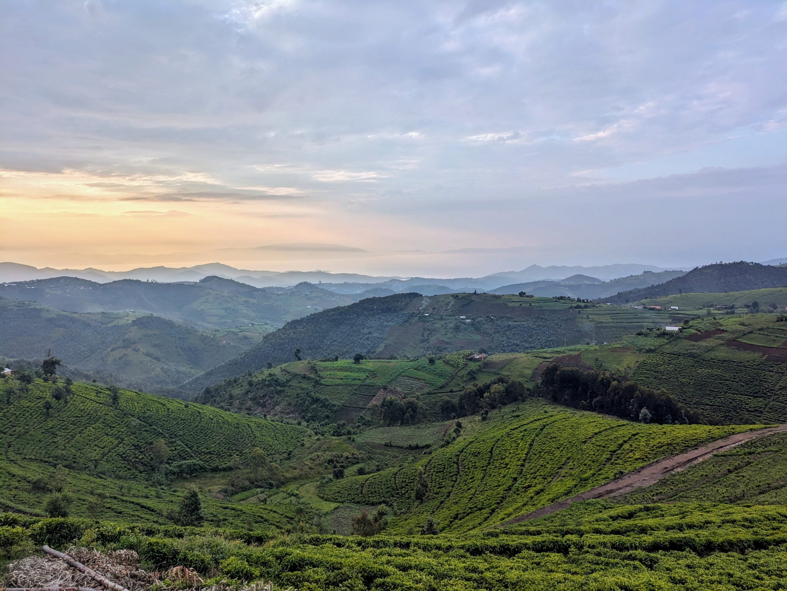 You are currently viewing A travers mille collines