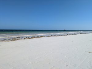 Lire la suite à propos de l’article Logistique et farniente