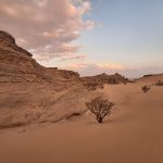 Le désert à perte de vue