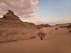 Lire la suite à propos de l’article Le désert à perte de vue