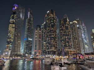 Lire la suite à propos de l’article De l&rsquo;émerveillement à l&rsquo;inquiétude